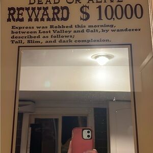 Vintage Style 'Dead or Alive' Wall Mirror - Brown Frame